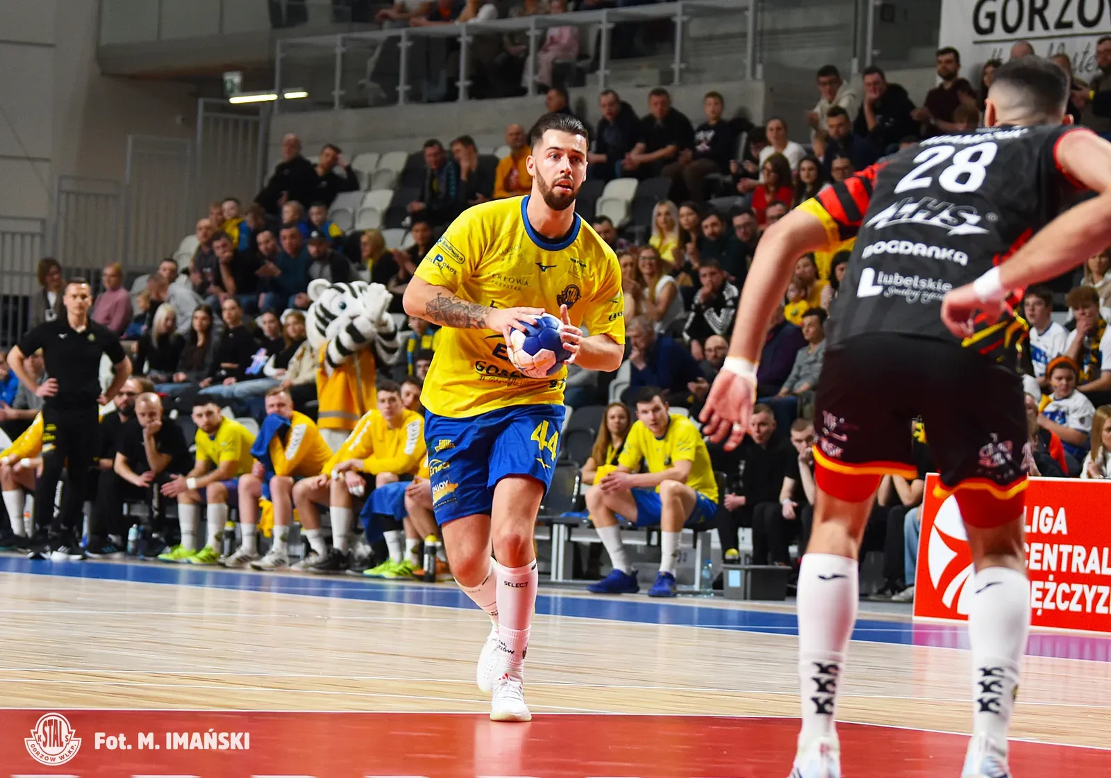 Budimex Stal Gorzów - Padwa Zamość